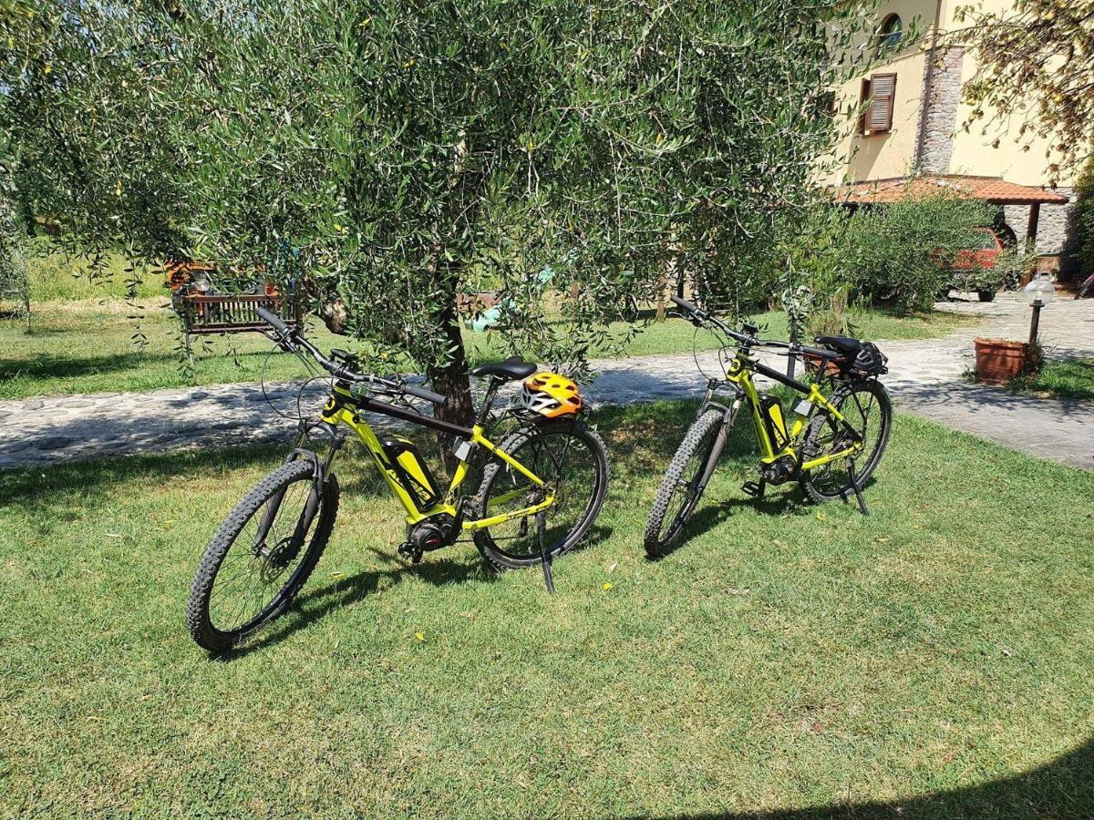 Agriturismo Il Poderetto Licciana Nardi Exterior photo
