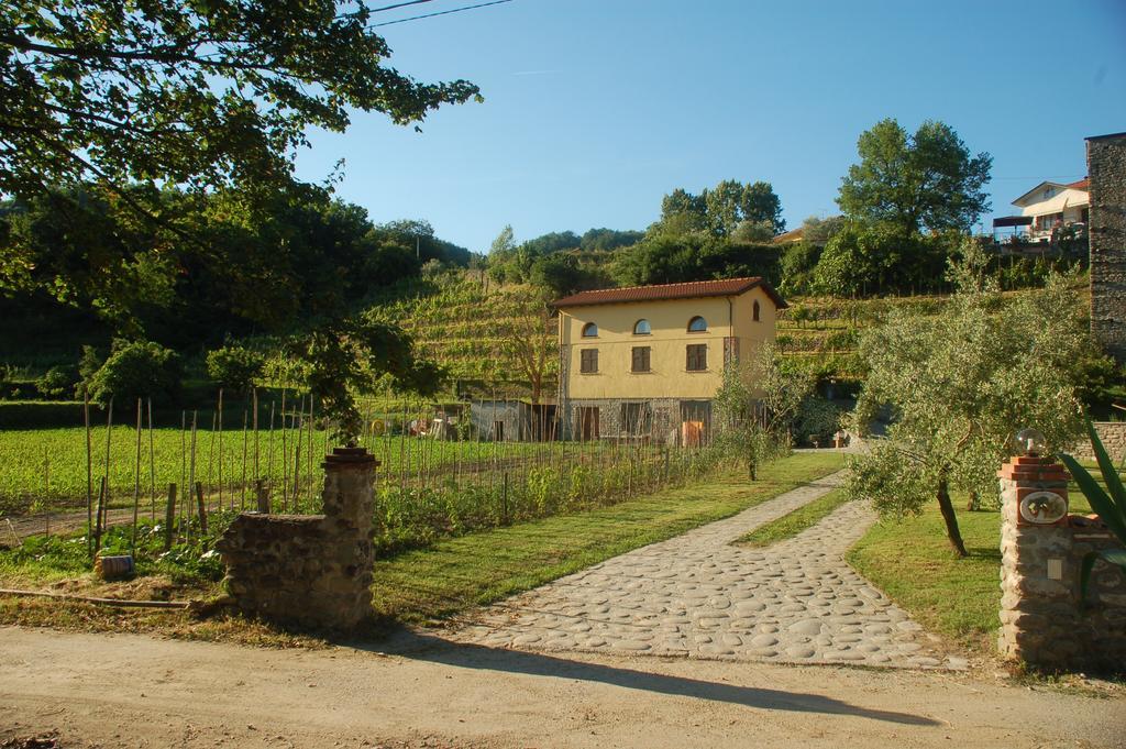Agriturismo Il Poderetto Licciana Nardi Exterior photo